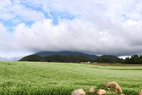 インスタ9月30日大山