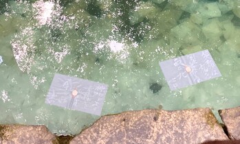 八重垣神社鏡の池.jpg