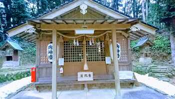 近くの神社_初詣