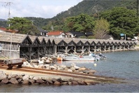 隠岐写真.jpg